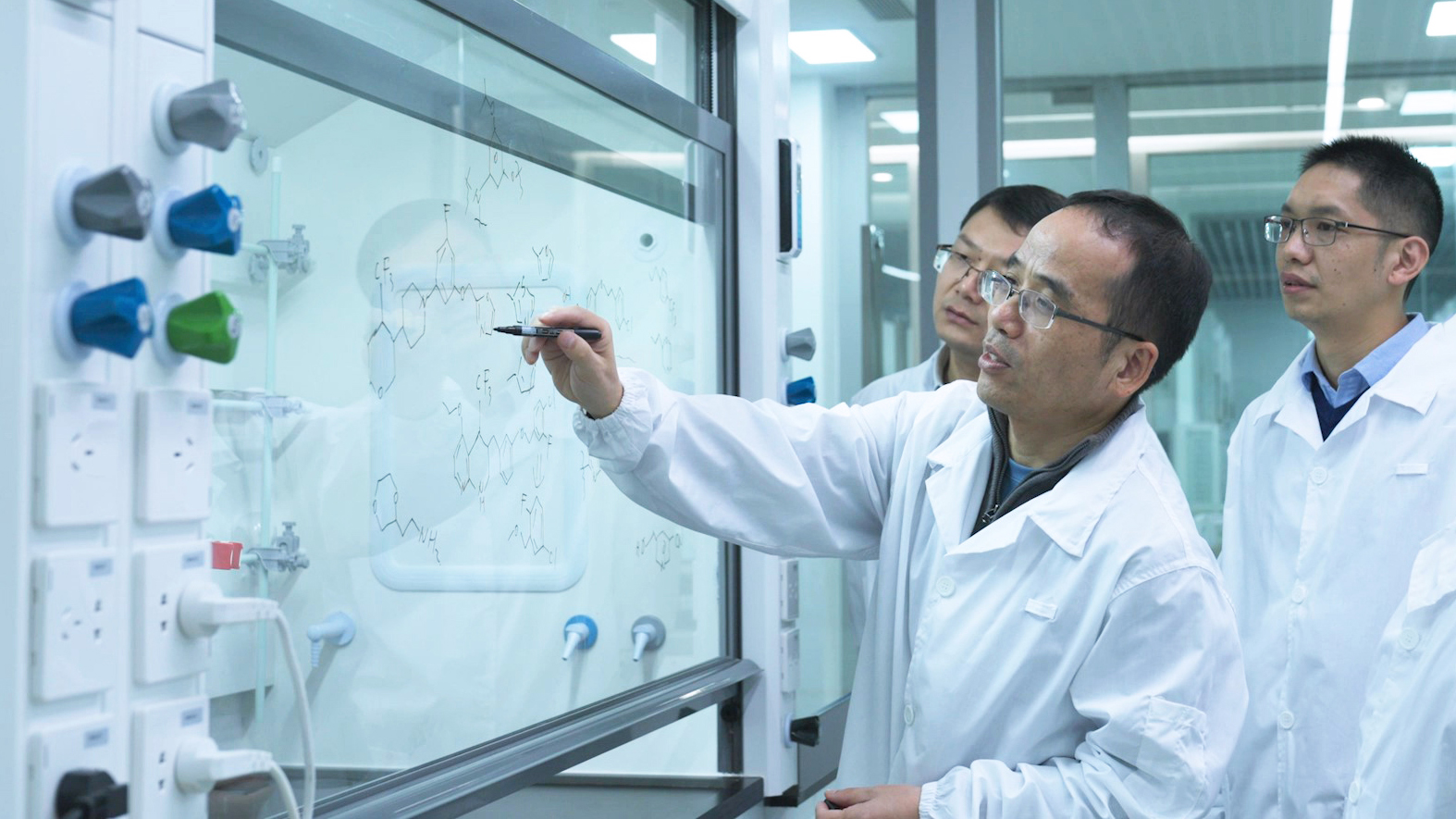 ����� | �ٷ���վ